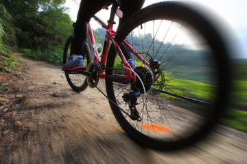 Fototapeta premium riding mountain bike on sunrise forest trial