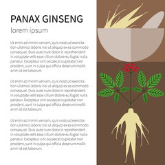Panax Ginseng.Flat icons