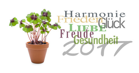 Wünsche zum Neujahr 2107