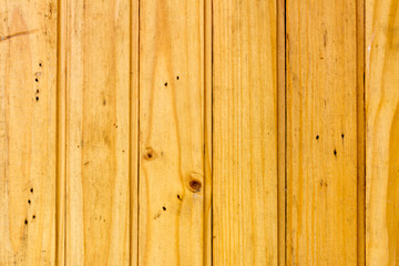 Fototapeta premium Wooden background and texture