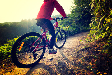 Fototapeta na wymiar riding mountain bike on sunrise forest trial