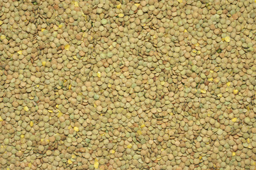 Green lentil background