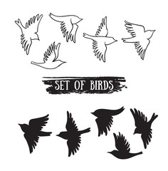 Birds flying in the sky. Vector black icons.