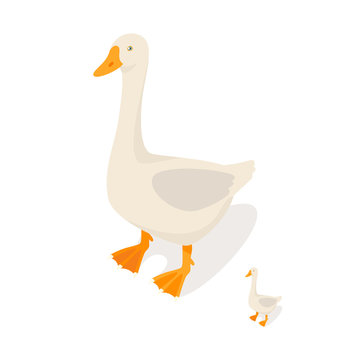 Isometric 3d vector illustration of farm goose