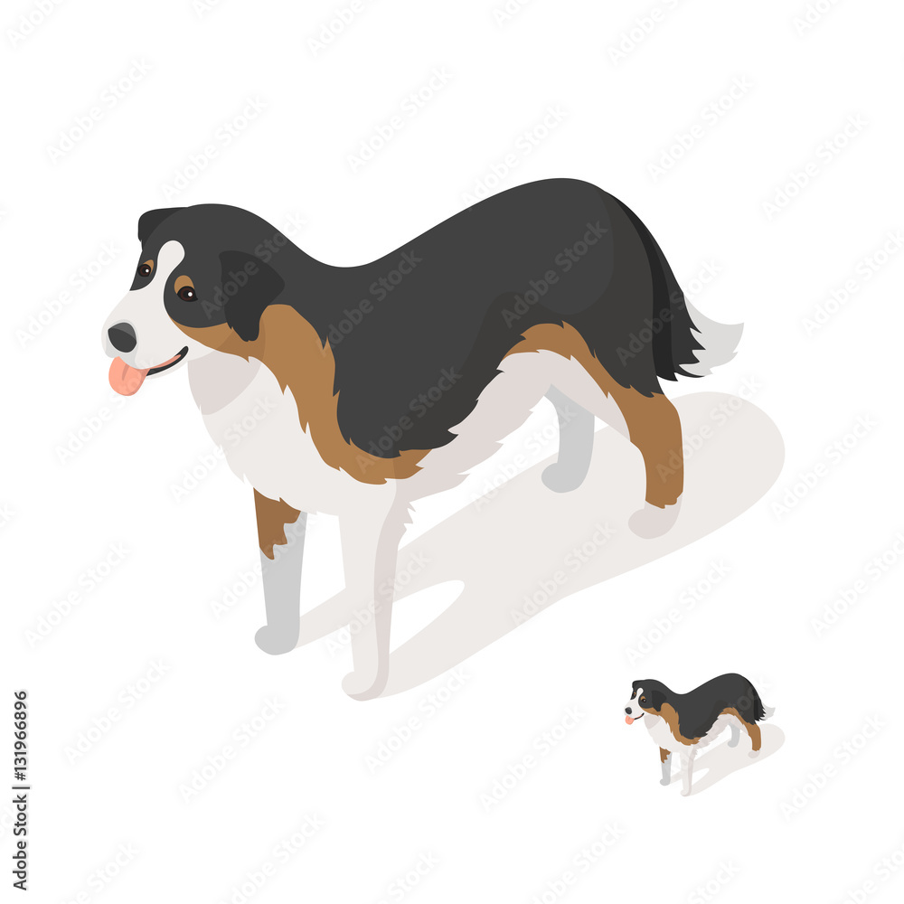 Canvas Prints Isometric 3d vector illustration of sheep dog