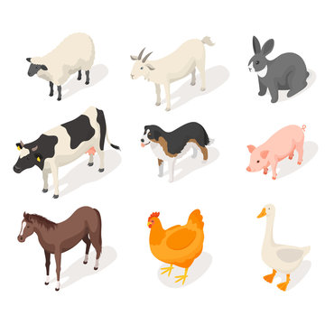 Isometric 3d vector set of farm animals.