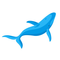Vector flat style illustration of whale. 