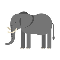 Obraz premium Vector flat style illustration of elephant.