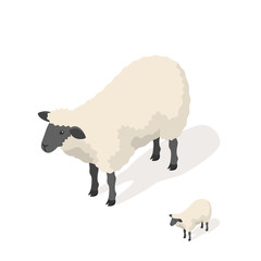 Isometric 3d vector illustration of sheep 