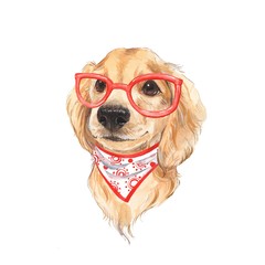 Cute dog sketch. Red glass. Hand painted. Watercolor illustration.
