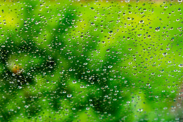 Rain / Water drop of rain on glass with blur green tree outdoor