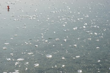 Eisschollen am zugefrorenen See