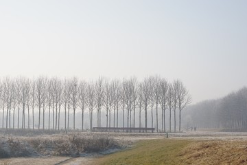 Winterlandschaft am See