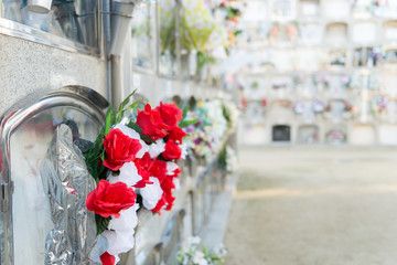 Flowers in a cemetery