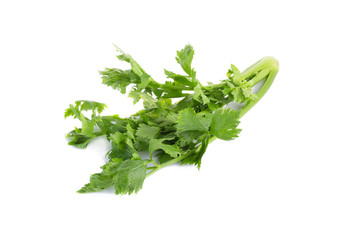 Celery isolated on white background.