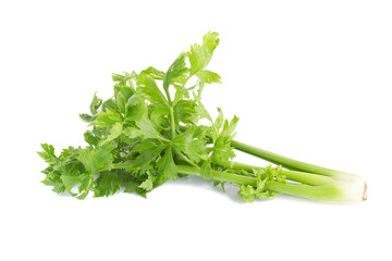 Celery isolated on white background.