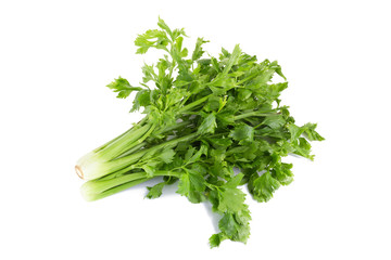 Celery isolated on white background. © kaiskynet