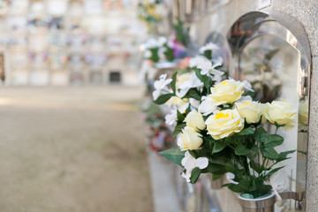 Flowers in a cemetery
