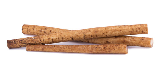 Fresh Burdock roots on white background.