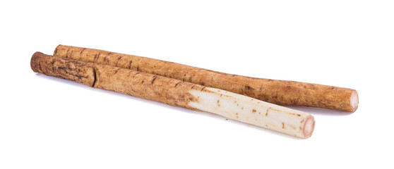 Fresh Burdock roots on white background.