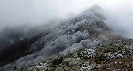 Gebrada al Montseny