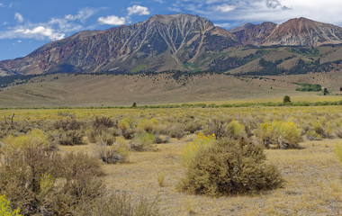 View from Bodie, California of the high desert and the Eastern Sierra Nevada mountains