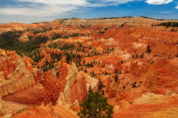 Bryce Point