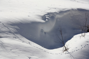 Traces dans la neige dans le parc de la Vanoise, France