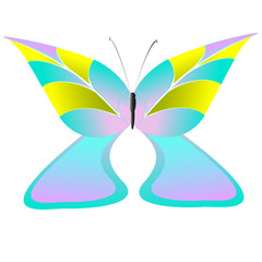 beautiful butterflies, isolated on a white