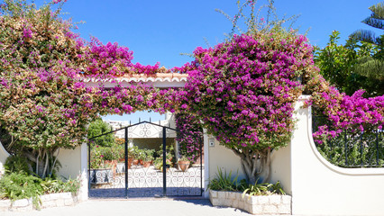 Fototapeta na wymiar House entrance with beautiful garden
