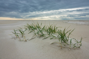 Strand an der Nordseeküste auf der Insel Amrum