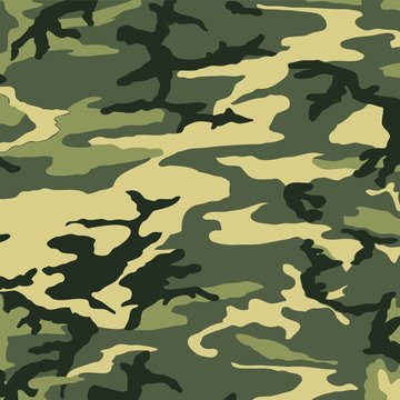 Camouflage pattern, Woodland style vector illustration