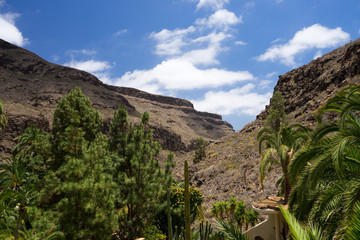 Canyons Of Gran Canaria