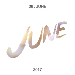 the calendar months june 2017 with white background