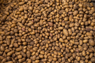 young fresh potatoes harvested for sale