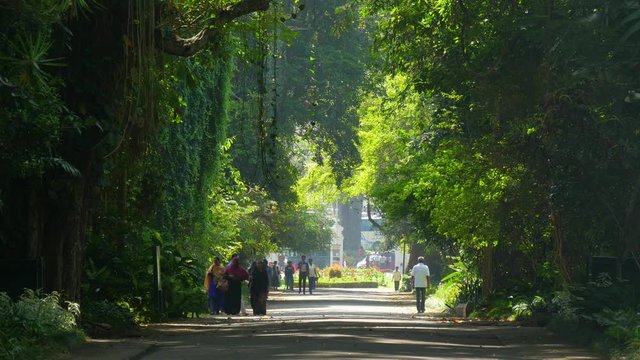 SRI LANKA, KANDY, DECEMBER 07, 2016: People walking in Royal Botanical Garden,  Peradeniya, Kandy, Sri Lanka
