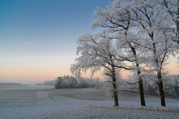 Wintermorgen im Waldviertel