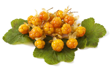 cloudberry with leaves isolated on white background