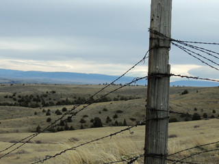 Barbed Wire View