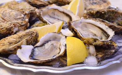 Fresh oysters