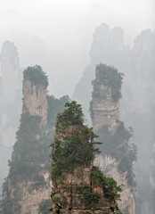 Group of the rock columns mountain (Avatar rocks). Zhangjiajie National Forest Park was officially...