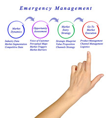 Market Entry Management.