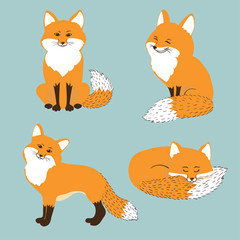 Set of cute cartoon foxes. Vector illustration.