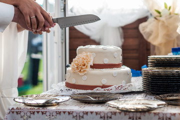 cake wedding knife golden ring