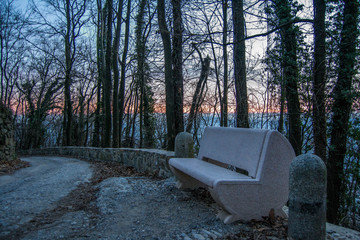 bench