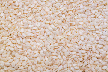 White sesames seed background and textured