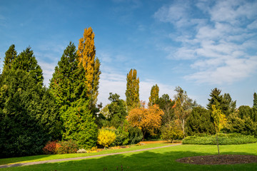 Fototapeta na wymiar Late October in Bratislava botanical garden, park meadow