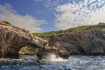 Fototapeta na wymiar Nature landscape of Gargano National Park: coast of Tremiti Islands' archipelag,Italy (Apulia). Natural arch and the cliffs topped by Aleppo pine forest native to the Mediterranean region. 