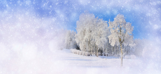Obraz na płótnie Canvas Winter background with snowy trees and snowflakes