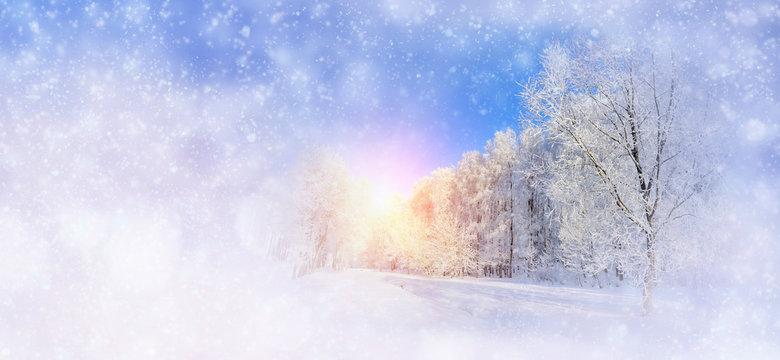 Winter background with snowy trees and snowflakes
